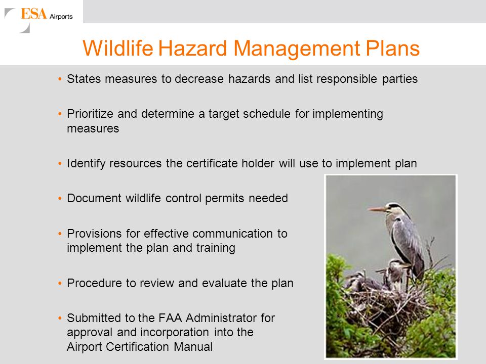 wildlife control business plan